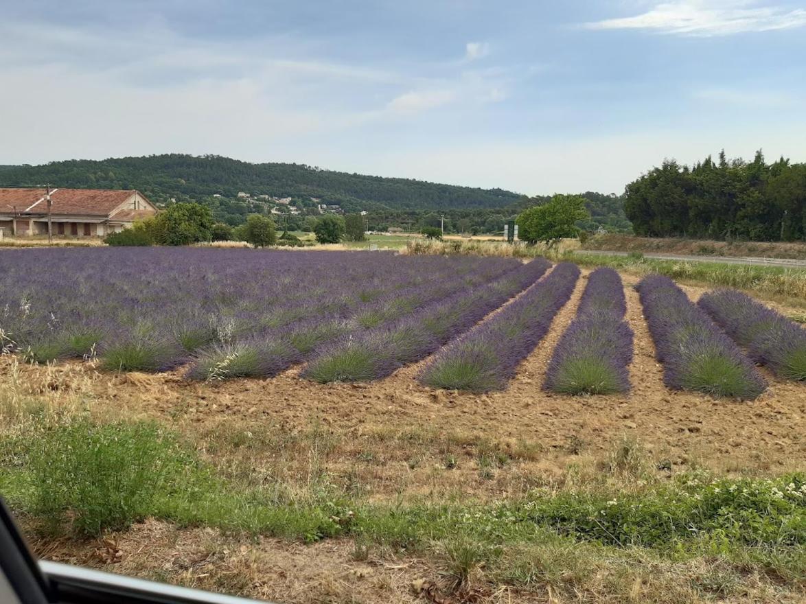 Maison De Famille Entre Vigne Et Lavande Verfeuil 외부 사진